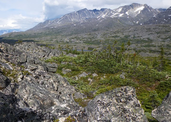 Mountains near the Yukon